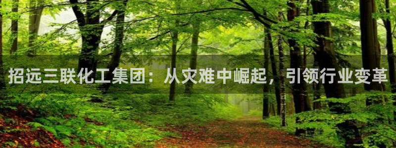 球盟会有限公司怎么样