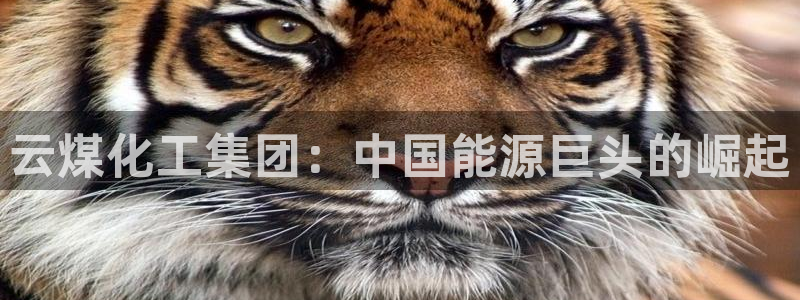 球盟会官方