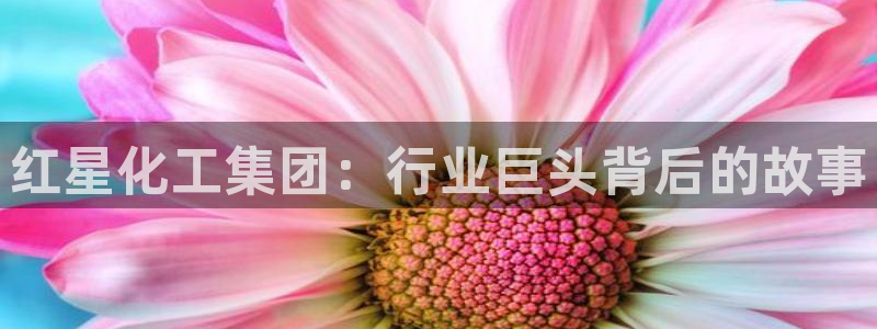 球盟会最新地址备用