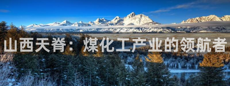 球盟会黑钱