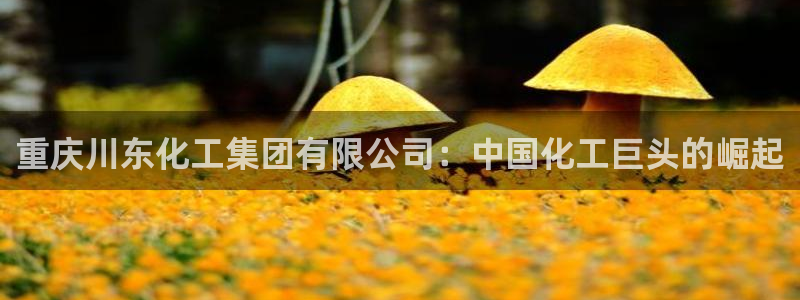 球盟会综合体育平台