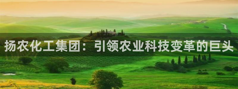 球盟会网址多少