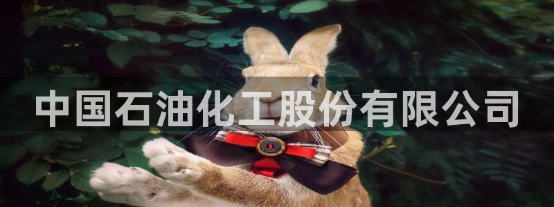 球盟会最新地址备用：中国石油化工股份有限公司