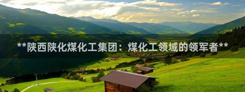 球盟会体育平台：**陕西陕化煤化工集团：煤化工领域的领军者*