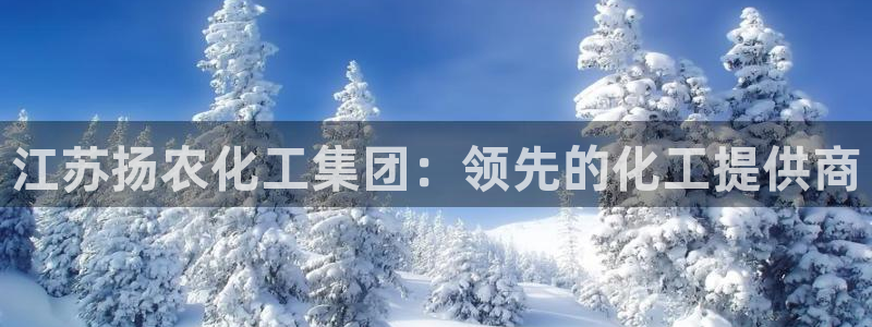 球盟会官方网站：江苏扬农化工集团：领先的化工提供商