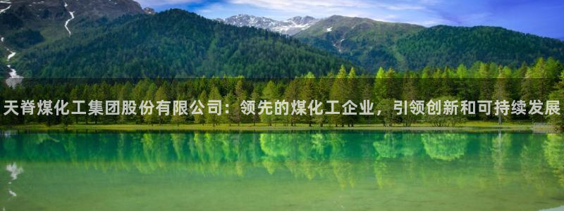球盟会下款快吗：天脊煤化工集团股份有限公司：领先的煤化工企业