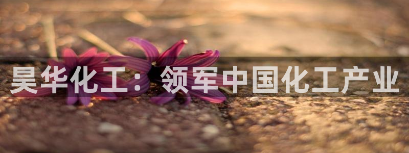 球盟会qmh登录地址：昊华化工：领军中国化工产业