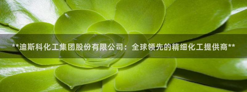 球盟会最新网：**迪斯科化工集团股份有限公司：全球领先的精细