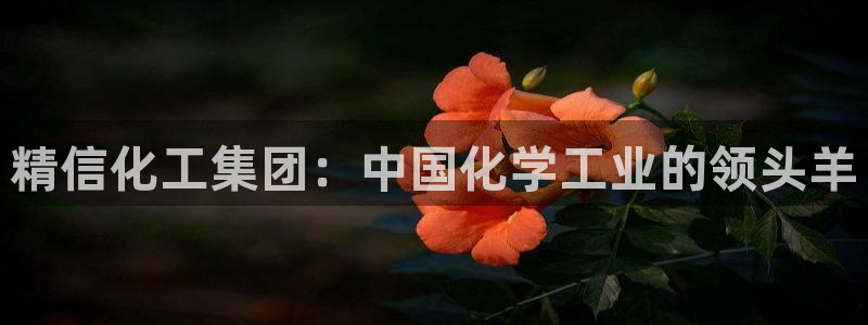 球盟会官方最新入口