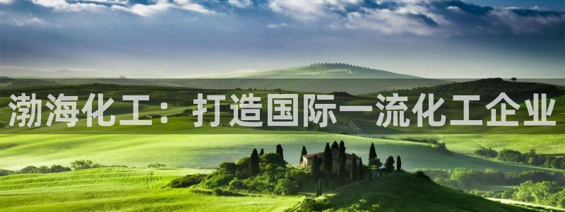 球盟会官网app下载：渤海化工：打造国际一流化工企业
