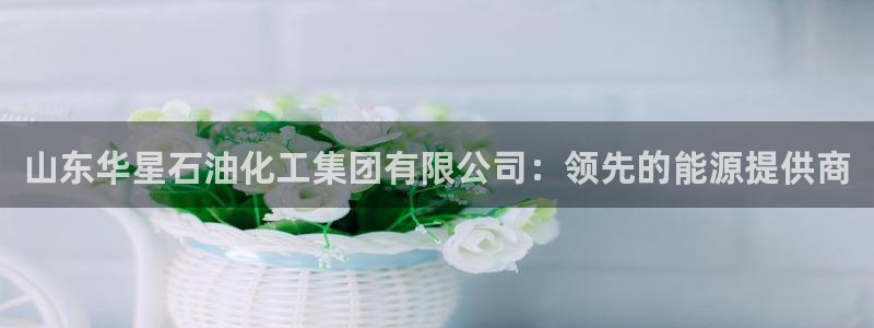 球盟会官网登录入口：山东华星石油化工集团有限公司：领先的能源