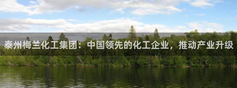 球盟会黑款吗知乎小说：泰州梅兰化工集团：中国领先的化工企业，