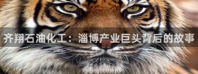球盟会可以提现么现在