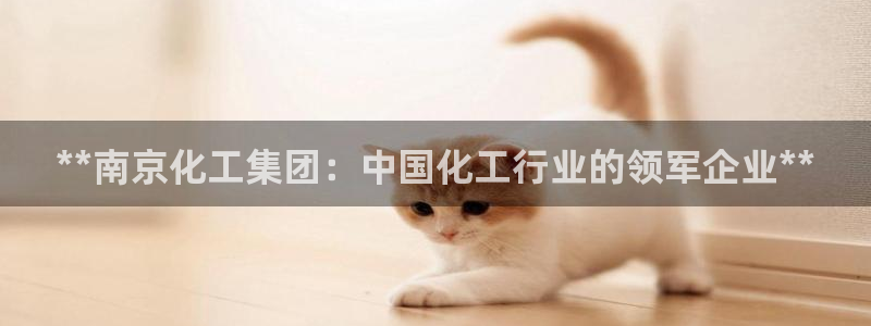 球盟会网页登录app下载地址：**南京化工集团：中国化工行业