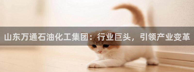 球盟会app最新地址在哪