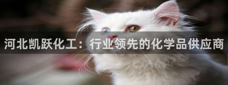 球盟会官网：河北凯跃化工：行业领先的化学品供应商