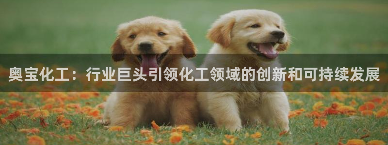 球盟会出款黑了