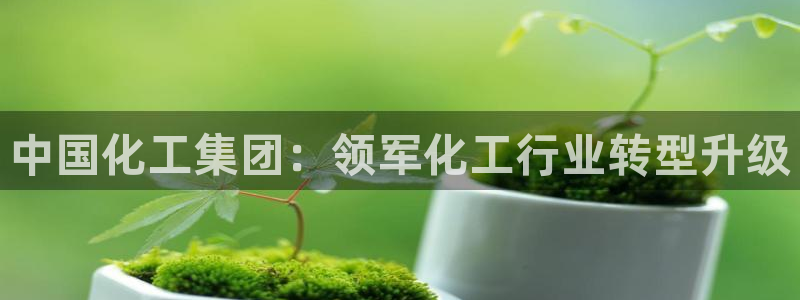 球盟会官方网站入口