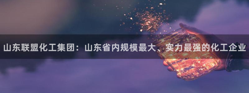 球盟会黑款吗：山东联盟化工集团：山东省内规模最大、实力最强的