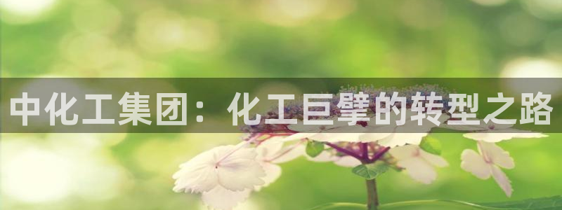 球盟会里面有打牌的嘛是真的吗