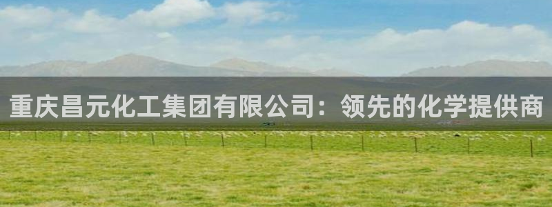 球盟会综合体育平台：重庆昌元化工集团有限公司：领先的化学提供