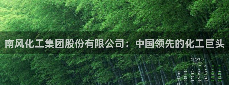 球盟会黑嘛：南风化工集团股份有限公司：中国领先的化工巨头