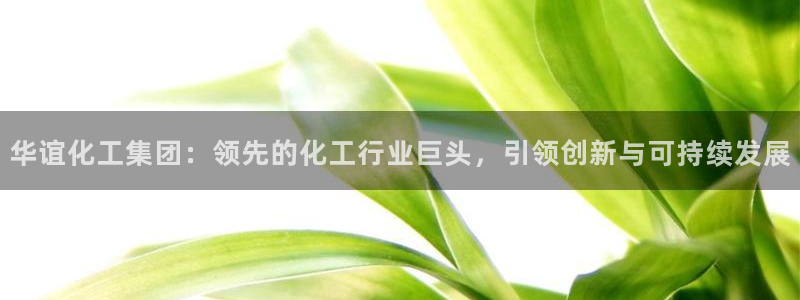 球盟会封禁：华谊化工集团：领先的化工行业巨头，引领创新与可持
