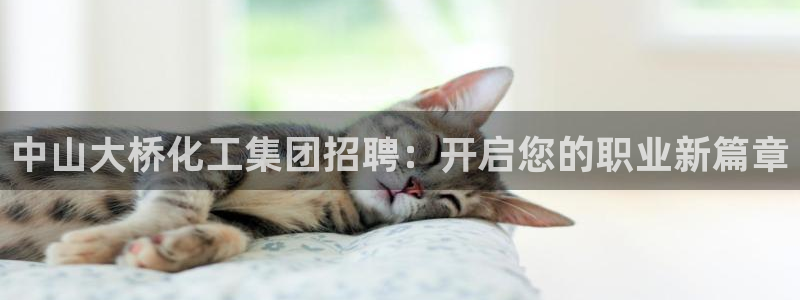 球盟会黑款吗还是白款