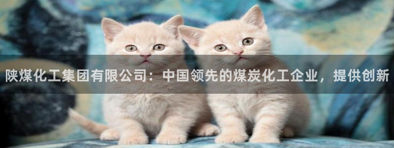 球盟会类似的网站：陕煤化工集团有限公司：中国领先的煤炭化工企