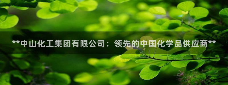 球盟会里面有打牌的嘛是真的吗：**中山化工集团有限公司：领先