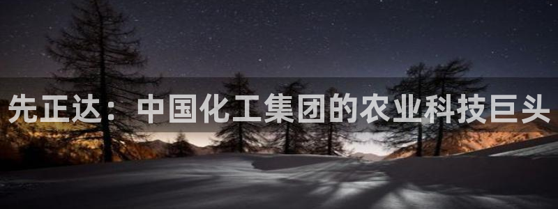 球盟会