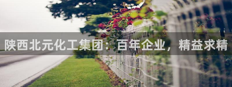 球盟会APP下载