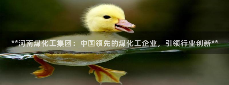球盟会登陆：**河南煤化工集团：中国领先的煤化工企业，引领行