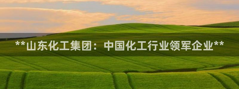 球盟会下载最新版：**山东化工集团：中国化工行业领军企业**