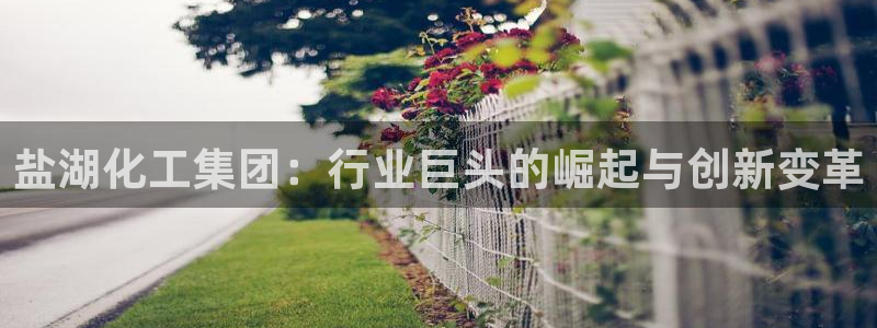 球盟会封号