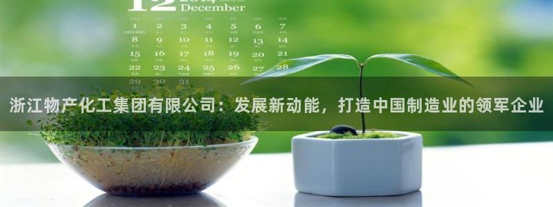 球盟会和中欧合作吗：浙江物产化工集团有限公司：发展新动能，打
