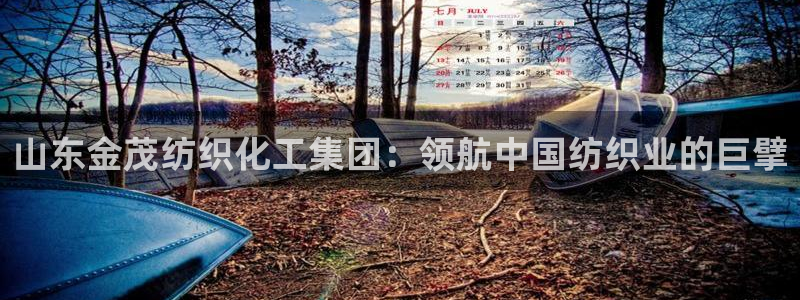 球盟会黑款吗还是白款