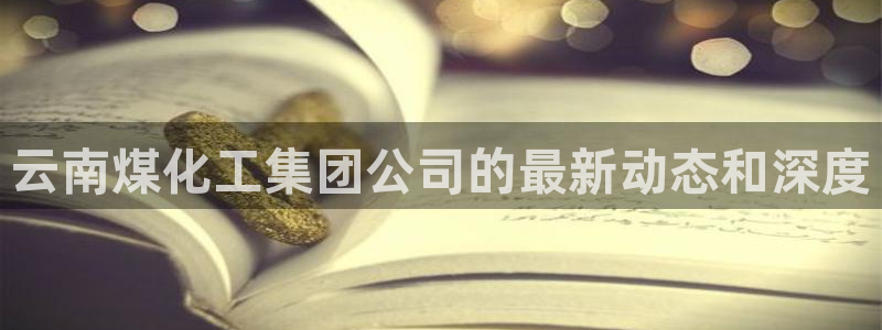 球盟会和中欧