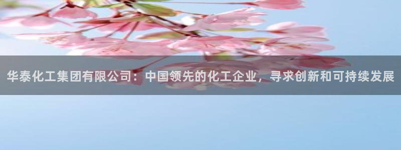 球盟会体育app官方网站：华泰化工集团有限公司：中国领先的化