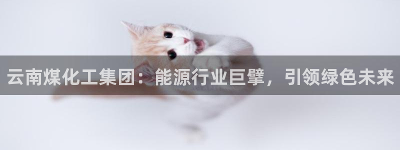 球盟会电子好下吗
