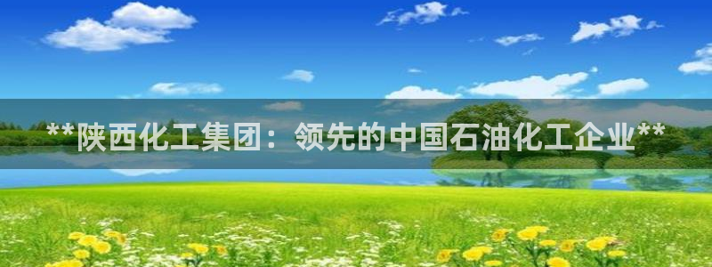 球盟会封号：**陕西化工集团：领先的中国石油化工企业**