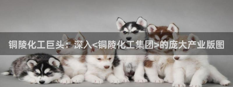 球盟会App