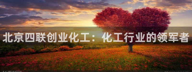 球盟会在线网站