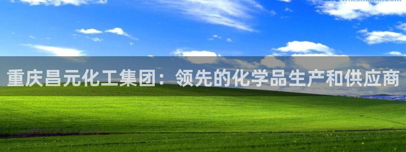 球盟会app最新地址下载：重庆昌元化工集团：领先的化学品生产