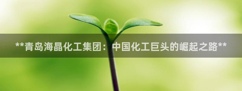 球盟会中国官方网站