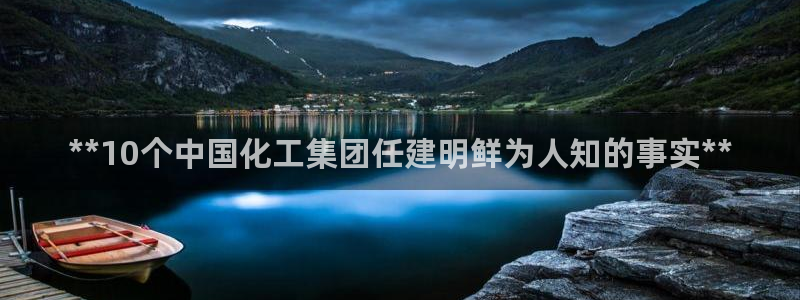 球盟会进不去：**10个中国化工集团任建明鲜为人知的事实**