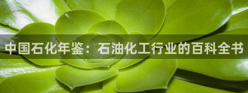 球盟会可靠不