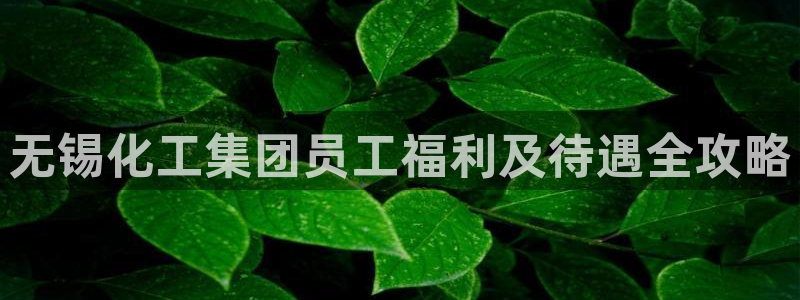 球盟会能退钱吗是真的吗