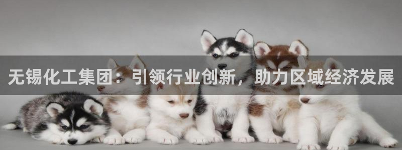 球盟会官方平台入口