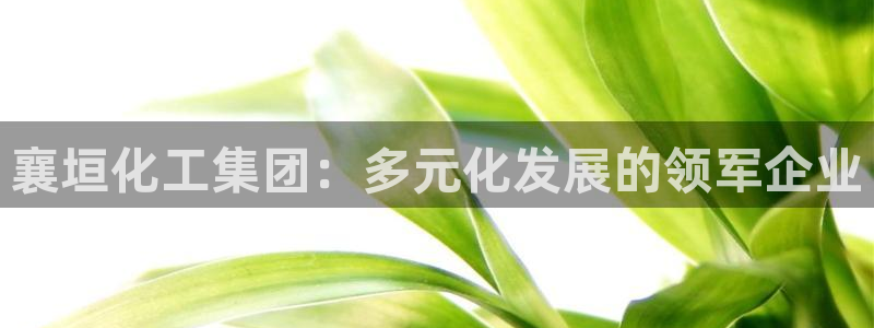 球盟会电子游戏平台